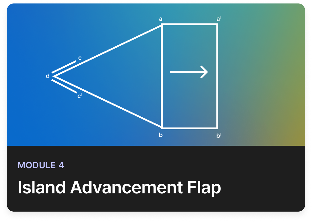 V-Y advancement flap